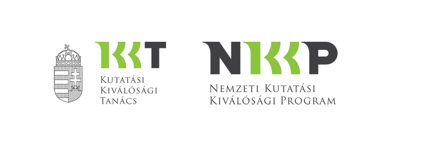 Stratégiai megfontolások a Nemzeti Kutatási Kiválósági Program kialakításának hátterében