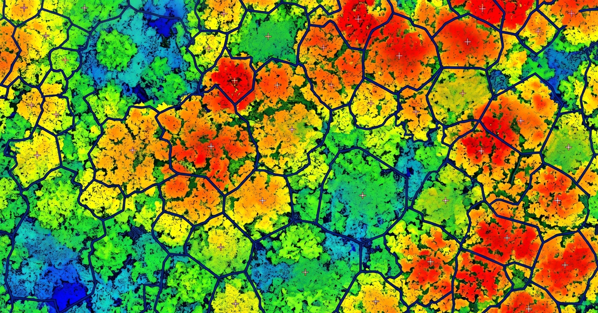 lezeres_cover.jpg