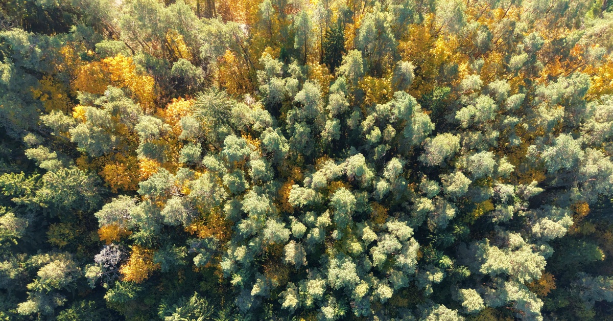 spatial_cover.jpg